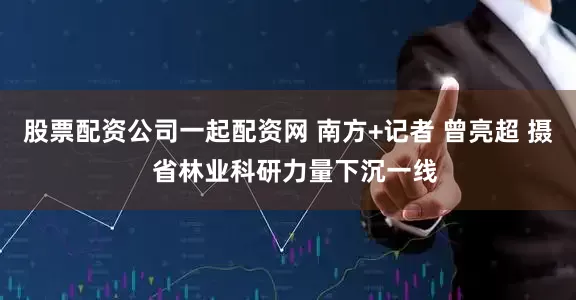 股票配资公司一起配资网 南方+记者 曾亮超 摄  省林业科研力量下沉一线